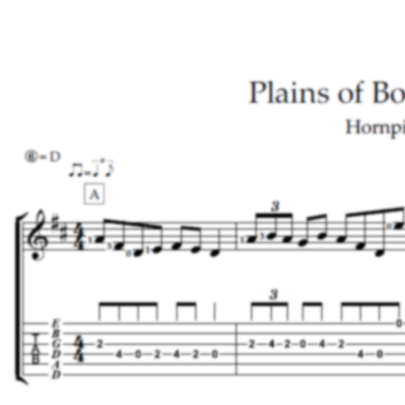 Plains of Boyle (The)