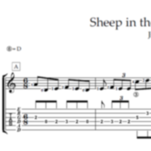 Sheep in the boat (The)
